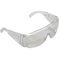 Safety Glasses BGS transparent