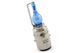 Headlight Bulb BA20D - 12V35W blue