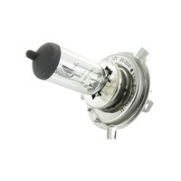 Halogen Headlight Bulb H4 12V/35W/35W (P43T)