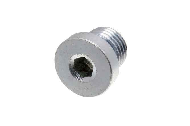 Radiator Cap Plug M14x1.5