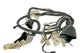 Wiring loom GY6, Jinlun Fighter 50