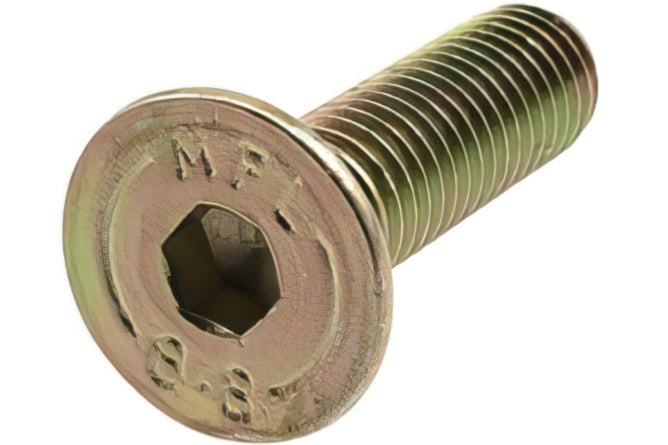 Fuel Tank Mounting Screw M8x30mm