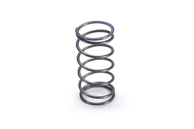 Torque Spring Kit Polini Sport Suzuki Katana / Aprilia Habana
