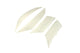 Indicator Lenses Piaggio Zip white
