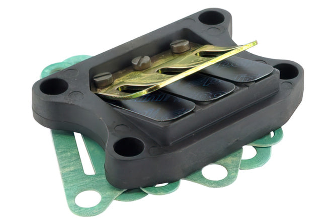 Reed Valve Polini Peugeot Speedfight / Trekker