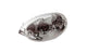 Tail Light Lexus Peugeot Ludix transparent