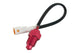 Temperature Sensor Koso M14x1.5 0 - 250 °C (white plug)