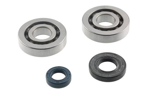 Crankshaft Bearings and Oil Seals PGO Big Max