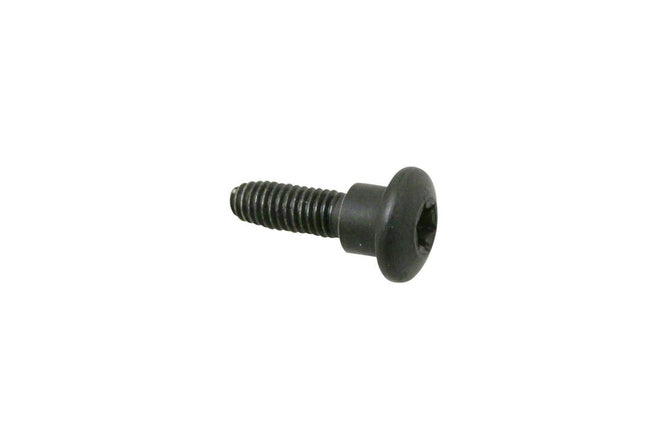 Screw M6x22mm license plate holder Piaggio / Vespa