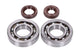 Crankshaft Bearings and Oil Seals FKM Naraku Honda X8R