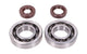 Crankshaft Bearings HD and Oil Seals FKM Naraku Honda X8R