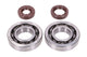 Crankshaft Bearings HD and Oil Seals FKM Naraku Honda X8R