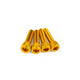 Intake Screw Set M6x25mm Alu Gold (x4)