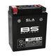 Battery SLA BS Battery BB12A-A/B 12V - 12,6Ah
