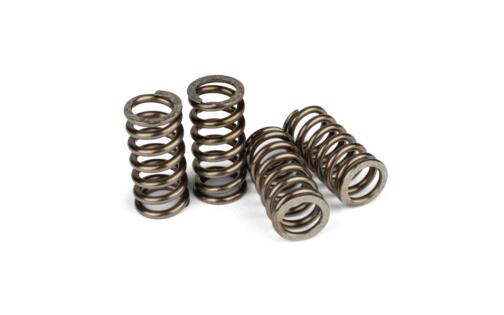 Clutch Spring MotoForce Racing AM6