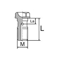 Banjo Bolt f. brake hose M10x1.0 AJP / Brembo