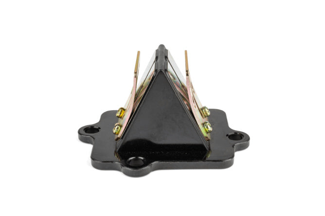 Reed Valve Motoforce Minarelli horizontal / China 2-stroke