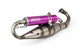 Exhaust Yasuni C16 Piaggio Purple
