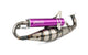 Exhaust Yasuni C21 Minarelli horizontal Purple