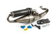 Exhaust LeoVince Handmade TT Black Edition Minarelli horizontal / China 2T