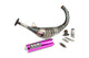 Exhaust SCR Corse Racing Line 70-80 AM6 purple
