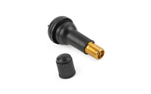 Tire Valve complete straight long
