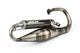 Exhaust Yasuni R-Pro Peugeot vertical Carbon