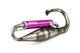 Exhaust Yasuni R-Pro Peugeot vertical Purple
