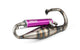 Exhaust Yasuni R-Pro Peugeot vertical Purple