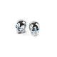 Valve Caps Skull chrome